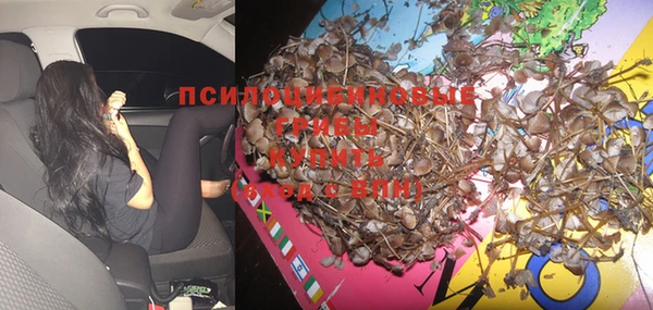 mix Бородино