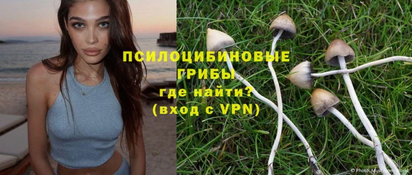 бошки Бугульма