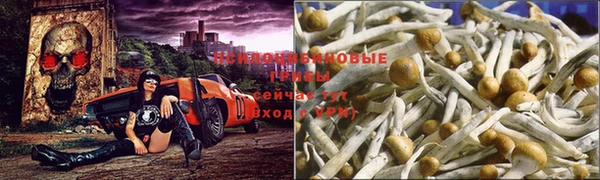 бошки Бугульма