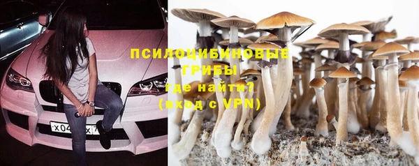 mix Бородино