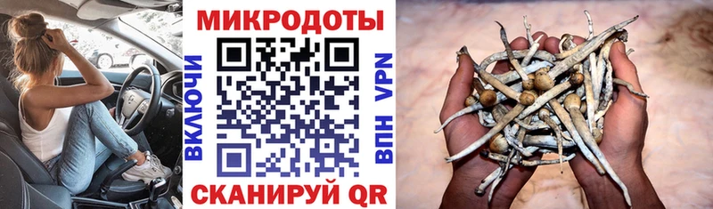 Купить закладки  Облучье  Галлюциногенные грибы мицелий 